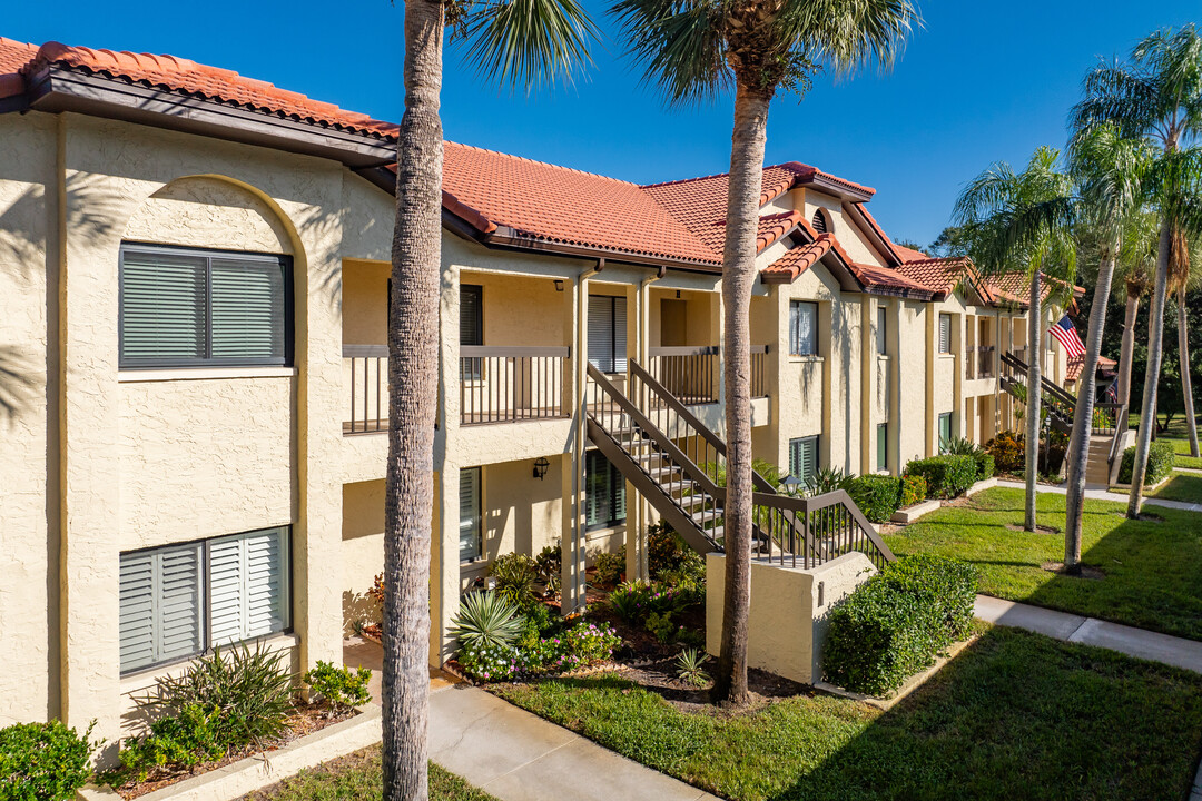 El Pasado in Palm Harbor, FL - Foto de edificio