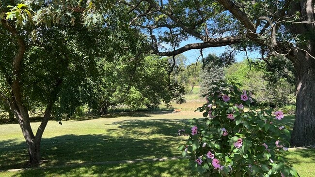 property at 4140 Indian Camp Trl