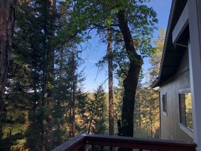 11419 Sunset Pl in Grass Valley, CA - Building Photo - Building Photo