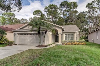 10426 Springrose Dr in Tampa, FL - Building Photo - Building Photo
