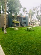Paradise Greens in Phoenix, AZ - Foto de edificio - Building Photo
