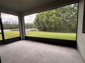 20044 Date Palm Way in Tampa, FL - Building Photo - Building Photo