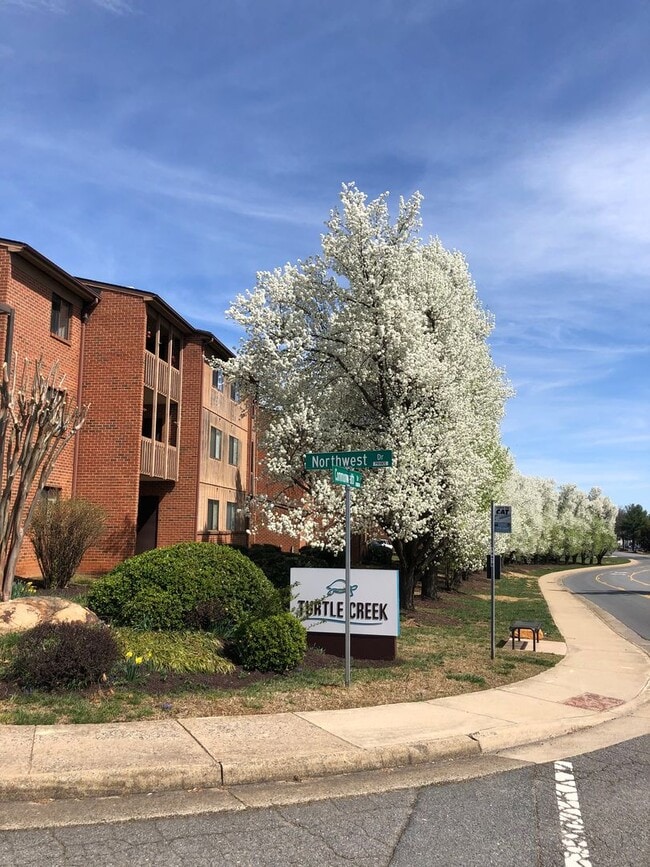 property at 138 Green Turtle Ln