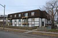 3030 Pleasant Ave in Minneapolis, MN - Foto de edificio - Building Photo