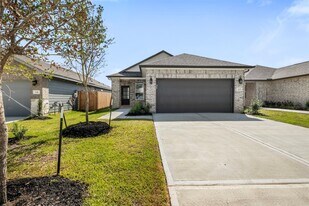 335 Willow Sage Ct in Montgomery, TX - Building Photo