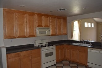 1667 Green Springs Ct in Tracy, CA - Building Photo - Building Photo