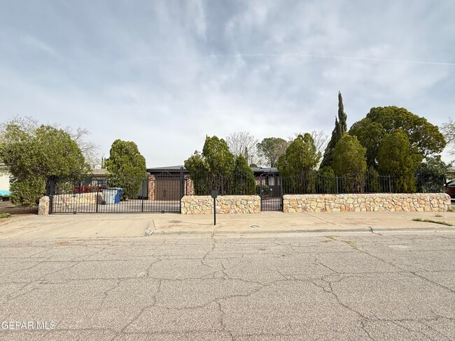 11109 Pink Coral Dr in El Paso, TX - Building Photo - Building Photo