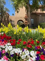 8256 E Arabian Trl, Unit 143 in Scottsdale, AZ - Building Photo