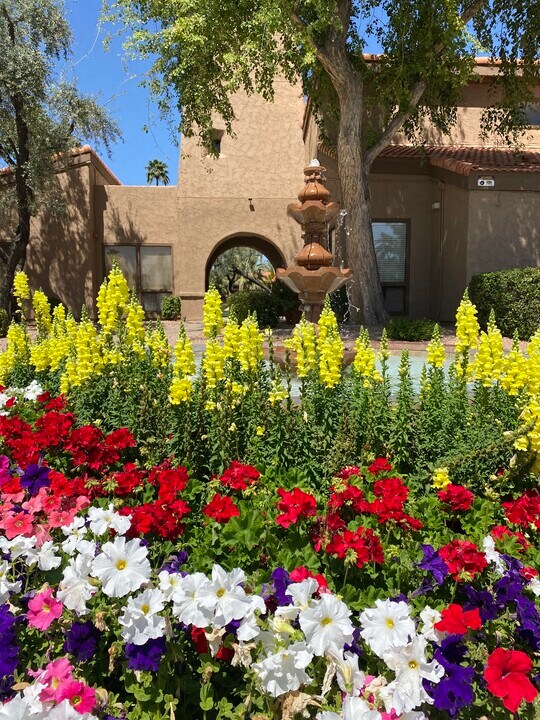 8256 E Arabian Trl, Unit 143 in Scottsdale, AZ - Building Photo