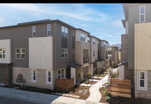 1423 Venice Ter in San Ramon, CA - Building Photo