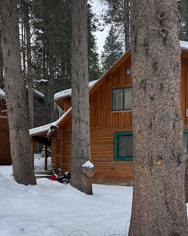 674 Minaret Rd in June Lake, CA - Building Photo - Building Photo