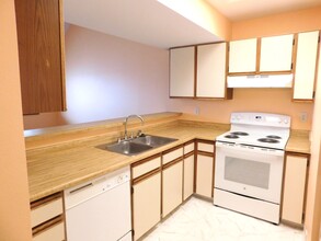 876 London Green Way in Colorado Springs, CO - Building Photo - Building Photo