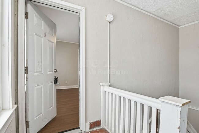 701 Hazel St in Louisville, KY - Building Photo - Building Photo