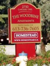 The Woodbine in Ottawa, ON - Building Photo - Building Photo