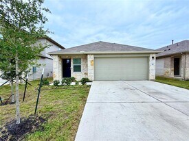 148 Arroyo Sweetwood Cir in Kyle, TX - Building Photo