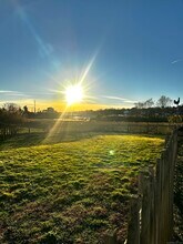 20 Jackson Ave in Stonington, CT - Building Photo - Building Photo