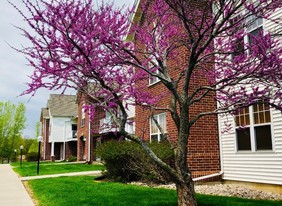 Lake Delton Apartment Homes