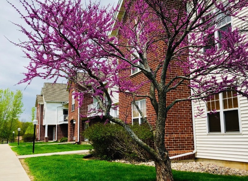 Lake Delton Apartment Homes in Baraboo, WI - Building Photo