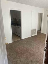 809 McKinley Ave in Auburn, AL - Foto de edificio - Building Photo