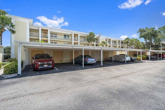 433 Cerromar Ln in Venice, FL - Building Photo - Building Photo