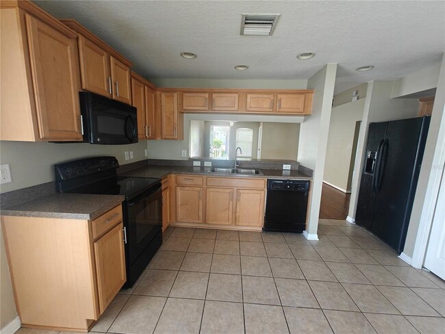 8225 Summer Wood Ln in Riverview, FL - Building Photo - Building Photo