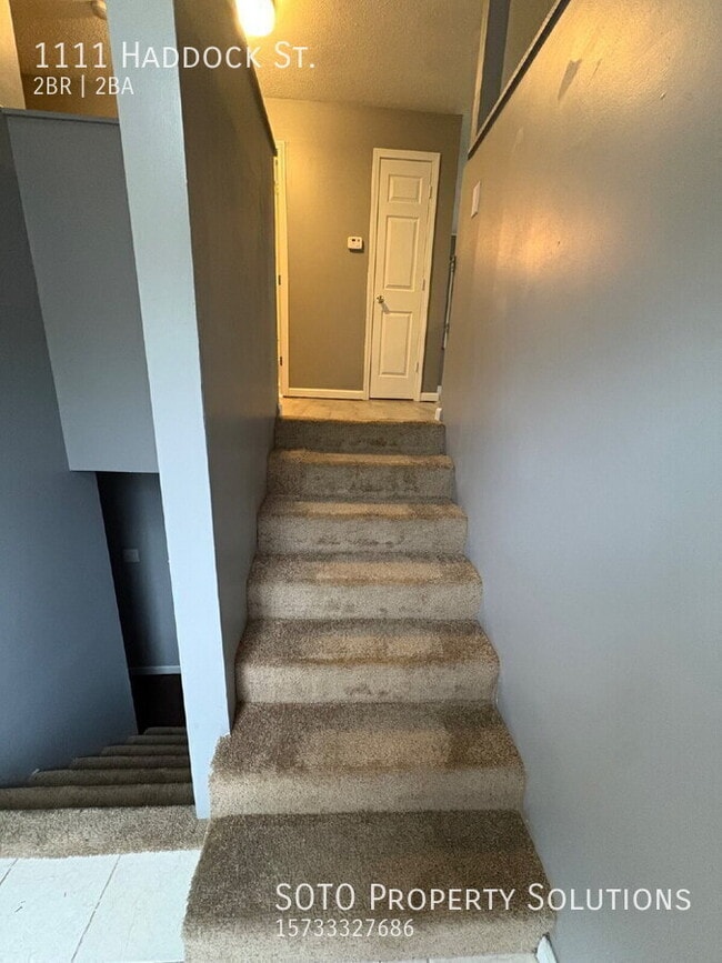 1111 Haddock St in Cape Girardeau, MO - Building Photo - Building Photo