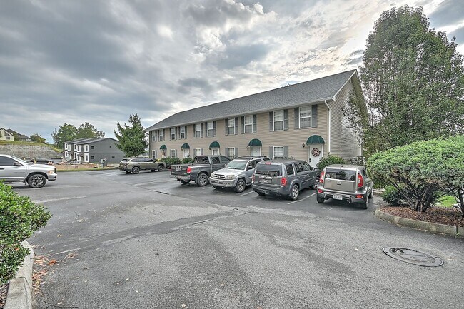 24 Lake Village Ct in Johnson City, TN - Building Photo - Building Photo