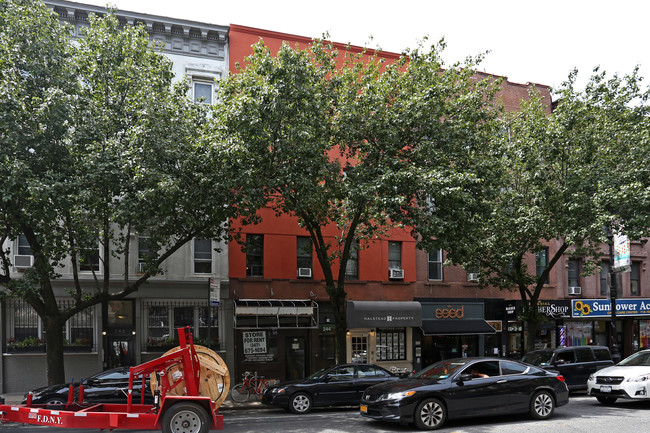 244 5th Ave in Brooklyn, NY - Foto de edificio - Building Photo