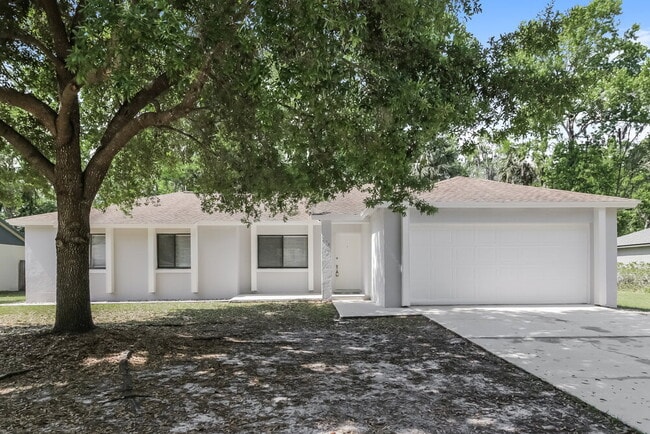 property at 234 Oak Rd