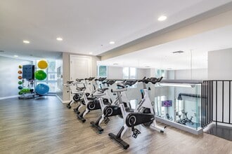 The Slade at Channelside in Tampa, FL - Building Photo - Building Photo