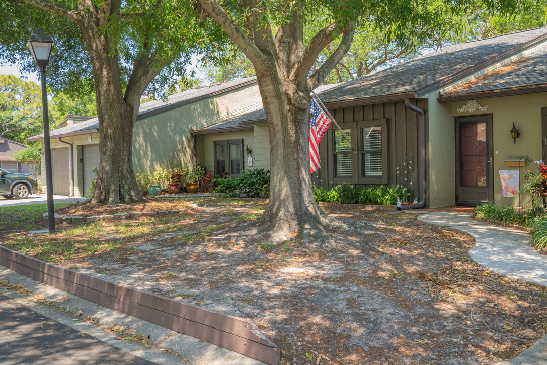 Raintree Village Condominiums in Clearwater, FL - Building Photo