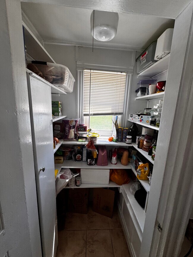 75 Elmira St, Unit 1 in Boston, MA - Building Photo - Building Photo