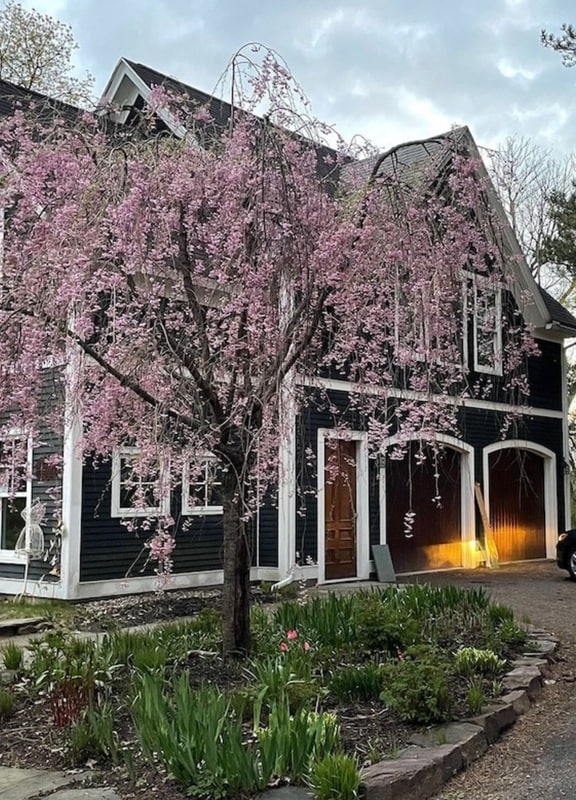 property at 195 N Prospect St