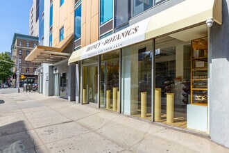 220 St Nicholas Ave in New York, NY - Building Photo - Building Photo