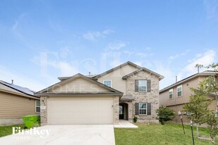 13327 Sugarberry Elm