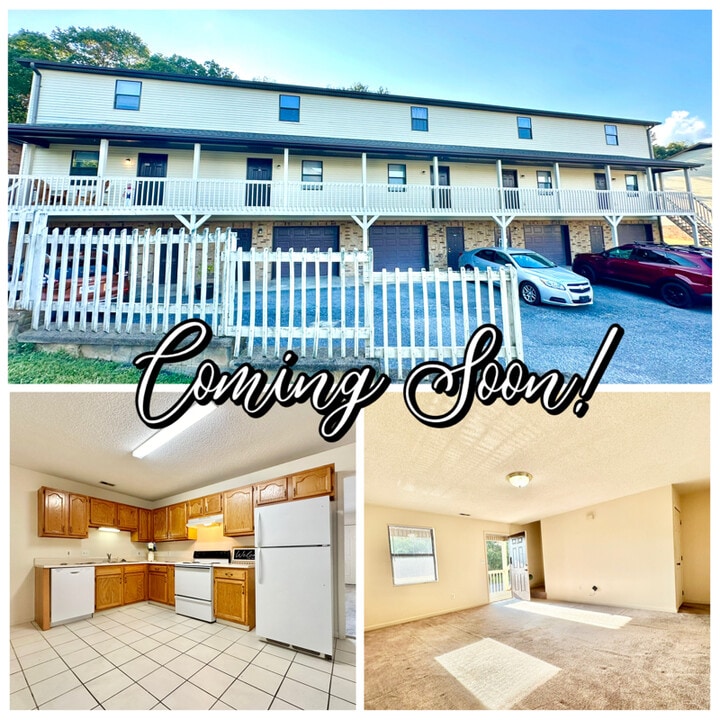 338 Old Gray Station Rd in Gray, TN - Building Photo