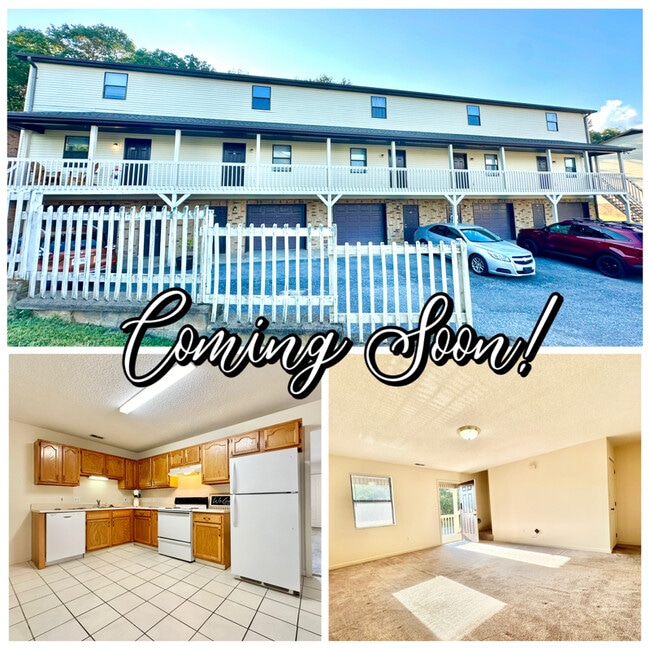 property at 338 Old Gray Station Rd
