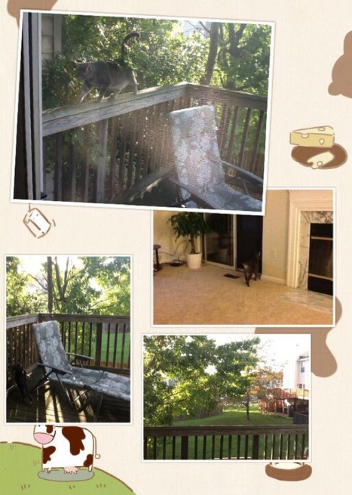 7820 Greenbrook Dr in Greenbelt, MD - Building Photo