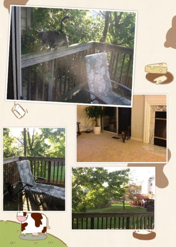 property at 7820 Greenbrook Dr