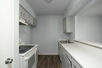 The Luke Apartments in McAllen, TX - Foto de edificio - Interior Photo