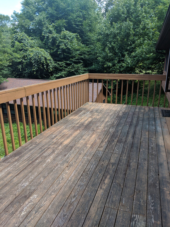 417 Cobbs Creek Rd in Boone, NC - Building Photo - Building Photo