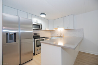 2225 N Halsted St in Chicago, IL - Building Photo - Building Photo