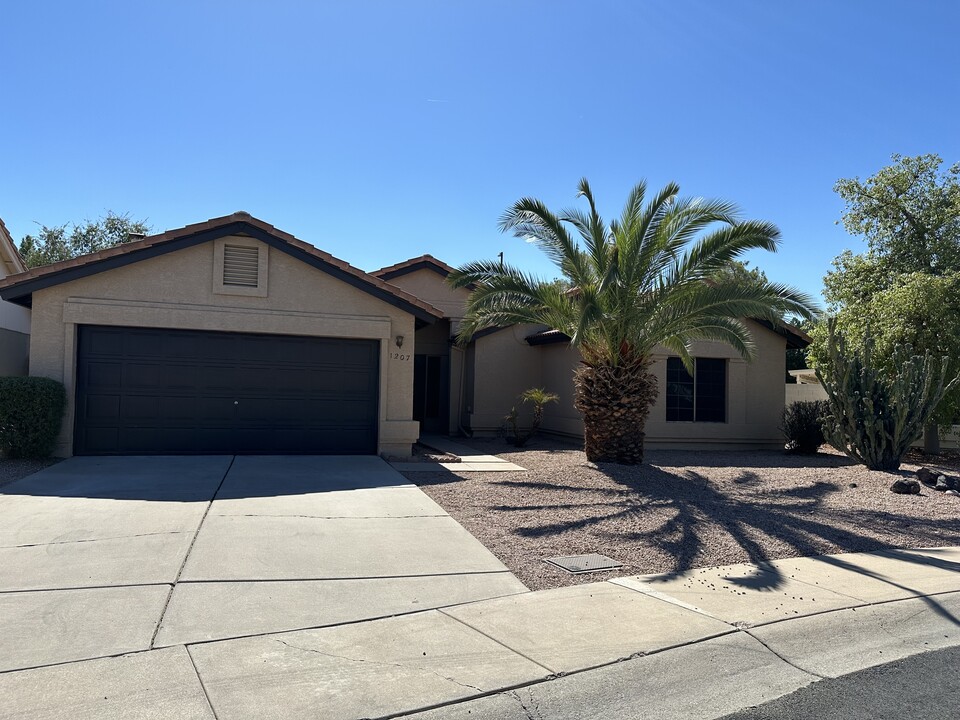 1207 E San Remo Ave in Gilbert, AZ - Building Photo