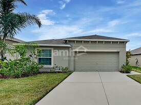 10504 Fuzzy Cattail St in Riverview, FL - Building Photo
