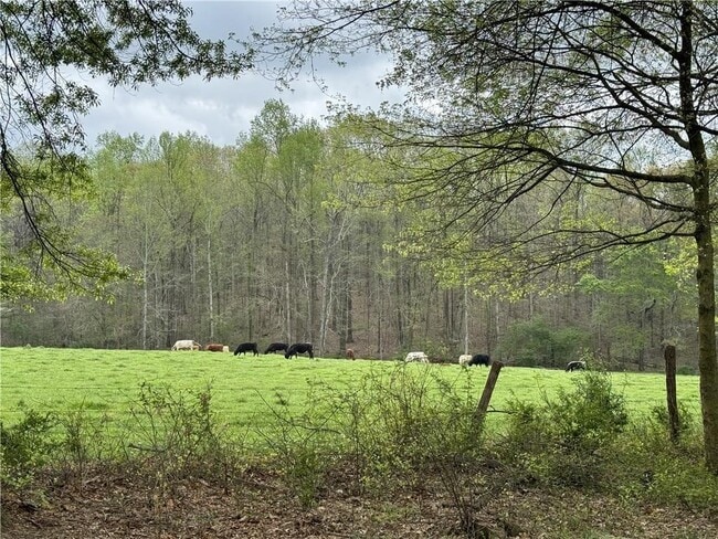 1727 Oak Grove Church Rd in Carrollton, GA - Building Photo - Building Photo