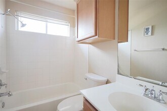3208 Winding River Trail in Round Rock, TX - Building Photo - Building Photo