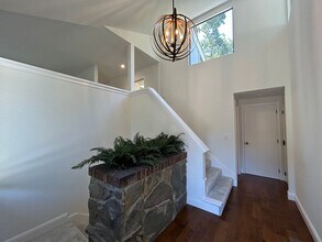 1837 Lackland Dr in Alamo, CA - Building Photo - Building Photo