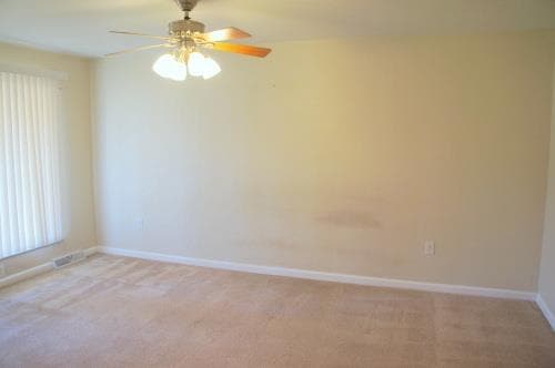 233 Mimosa Ave in Swansea, IL - Building Photo - Building Photo