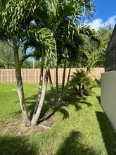 11702 SW 108th Ln in Miami, FL - Building Photo - Building Photo