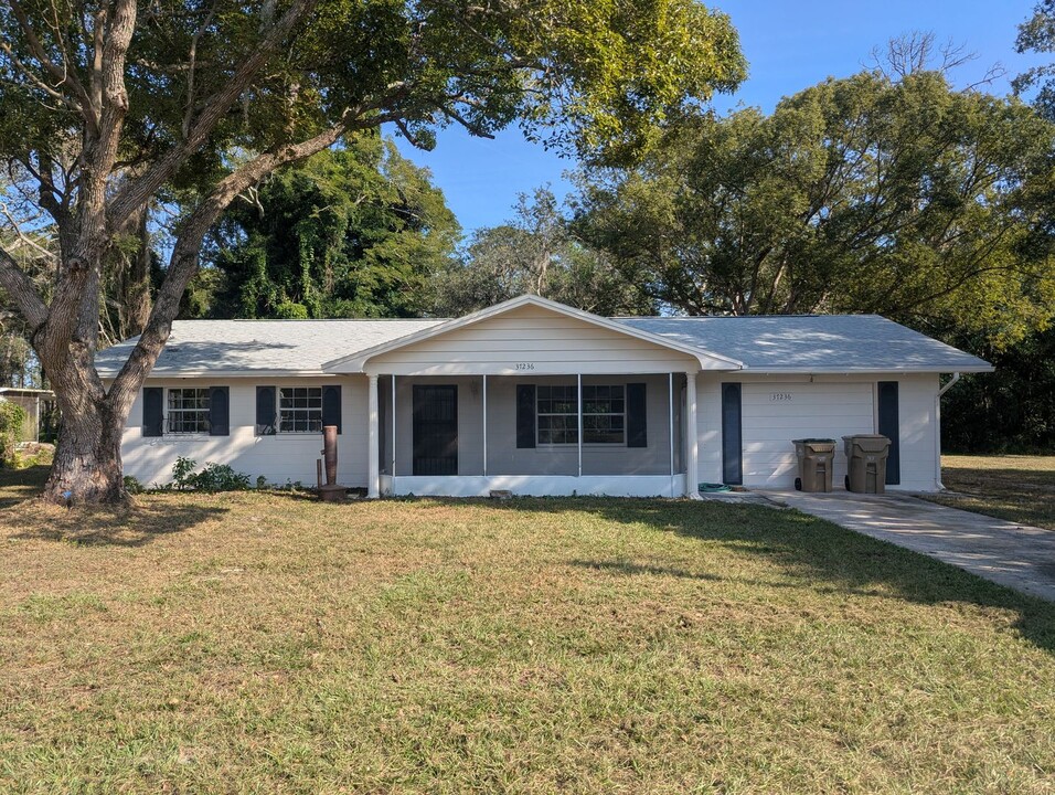 37236 Oak Ln in Umatilla, FL - Building Photo